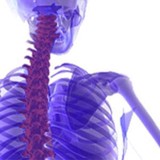 Back Care Specialist - Chiropractors in Richmond