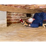 Century Termite & Pest - Pest Control in Sterling
