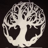 Healthy Life Yoga Studio - Yoga in Midlothian