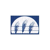 Christian Psychotherapy Service - Psychotherapist in Chesapeake
