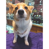 Gold Bar Jewelers - Jewelry in Virginia Beach