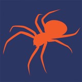 Spidy Tech Solutions - Web Design & Development in Virginia Beach