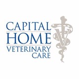 Dexter Erin DVM - Veterinarians/Vets in Richmond