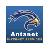 Antanet - Web Design & Development in Bristol