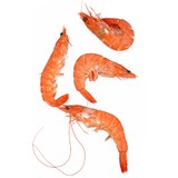 Aasp Allergy & Asthma Specialty Physicians Pc - Allergists in Fairfax