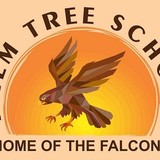 Palm Tree School - Child Care & Day Care in Fairfax