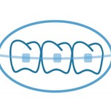 Gainesville Dental Study Club Inc - Dentists in Gainesville