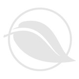 Alternative Counseling Group - Social Services in Petersburg