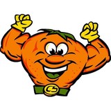 Citrusolution - Carpet Cleaning in Richmond