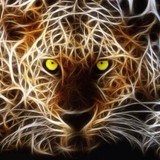 Virginia Wild - Gyms in Virginia Beach