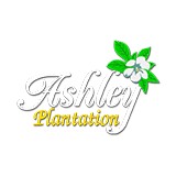 Ashley Plantation Golf Course - Other in Daleville