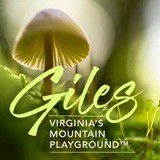 County of Giles - Other in Pearisburg