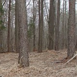 Elkora Inc - Other in Cartersville
