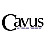 Cavus Media LLC - Marketing in Fairfax
