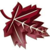 Sycamore Insurance Group LLC - Insurance in Richmond