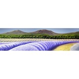 Apple Wood Acres Inc - Other in Forest