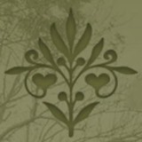 Morisi Andrea - Solicitors & Lawyers in Manassas