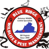 Blue Ridge Wildlife Control - Pest Control in Roanoke
