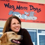 Wag More Dogs - Pet Services in Arlington