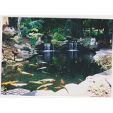 Classic American Ponds - Other in Warrenton
