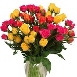 Pollards Florist - Florists in Newport News