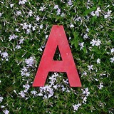Studio A - Graphic Design in Alexandria