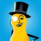 Planters & Designers - Landscape Architects in Bristol