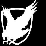 Silver Eagle Group - Other in Ashburn