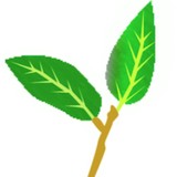 Banyanleaf Technologies Inc - Other in Centreville
