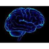 Casper Minds LLC - Other in Haymarket