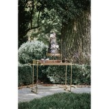 Heather Turner Photography - Other in Moneta
