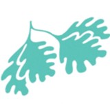 Brandon Oaks Lifecare Retire - Retirement Homes in Roanoke