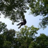 Dcp Tree Service - Other in Lorton