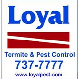 Loyal - Pest Control in Richmond