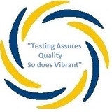 VIBRANT INFOSYSTEMS - Software Development in Herndon