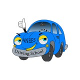 ANEES Driving School - Driving Lessons in Fairfax