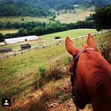 Harmony Hills Equestrian Center - Other in Christiansburg