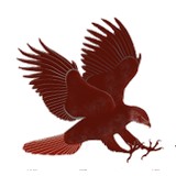 Goldbelt Hawk LLC - Other in Newport News