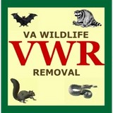 Animal Wildlife Removal of VA - Pest Control in Glen Allen