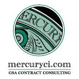 Mercury Consulting Inc - Business Consulting in Leesburg