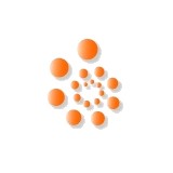 Rivet Logic Corporation - Other in Reston
