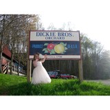 Dickie Bros Orchard - Other in Roseland