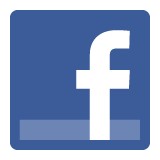 Wedgwood Garden Center - Other in Norfolk