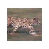 Advanced Datatools - Other in Annandale