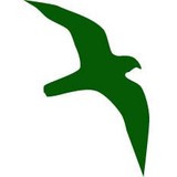 Merlin Simulation Inc - Other in Falls Church
