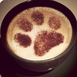 Stat Medical Answering Service - Other in Portsmouth