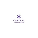 Capital Techsearch - Employment Agencies in Richmond