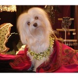 Sterling Boutique - Jewelry in Richmond