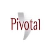 Pivotal Insight LLC - Business Consulting in Arlington
