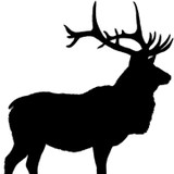 Elk Mountain Contracting LLC - Other in Lyndhurst